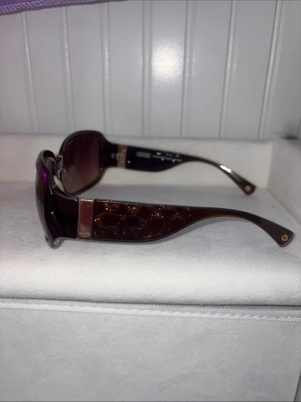 Coach Oversized Women's Sunglasses in Dark Brown